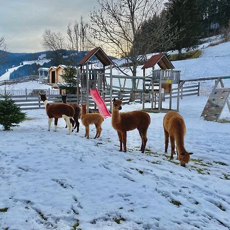 Appartamento Laubichlhof Flachau Esterno foto
