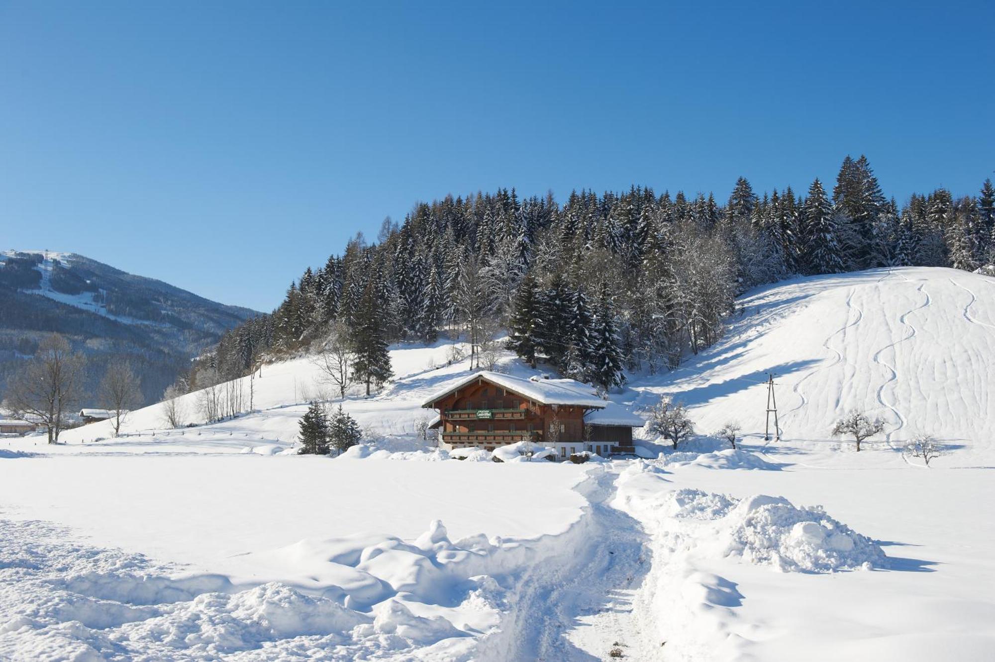 Appartamento Laubichlhof Flachau Esterno foto