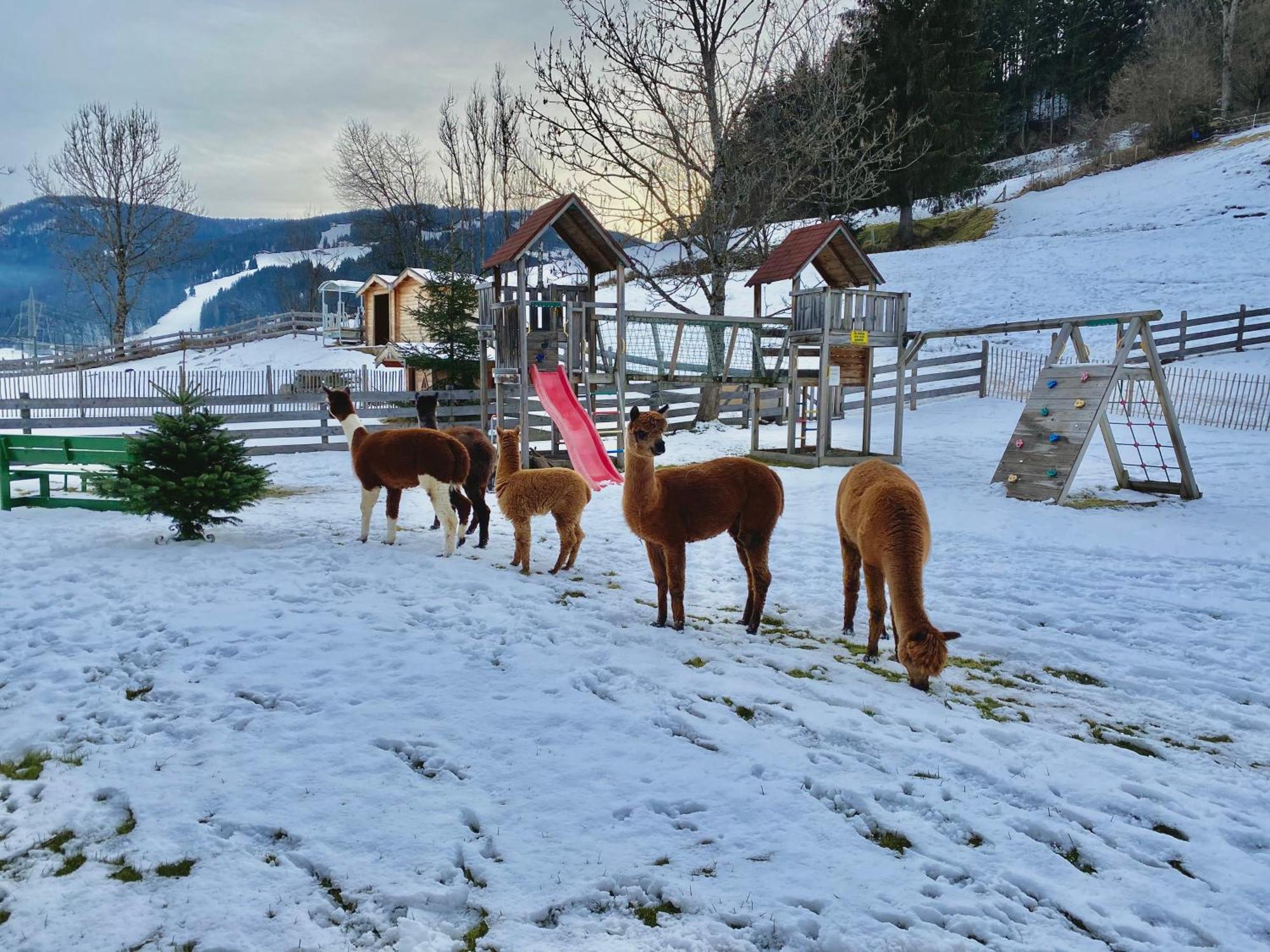 Appartamento Laubichlhof Flachau Esterno foto