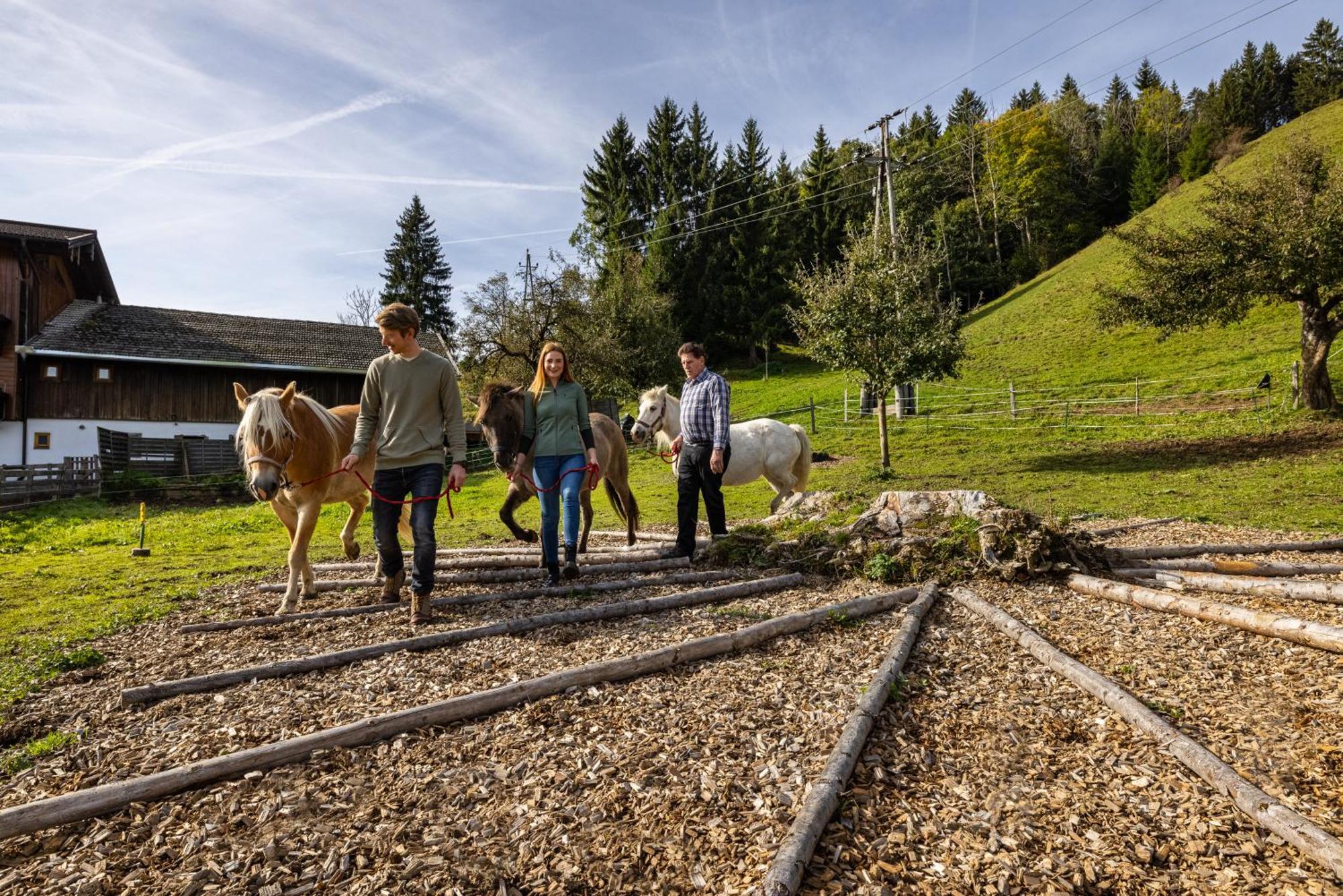 Appartamento Laubichlhof Flachau Esterno foto