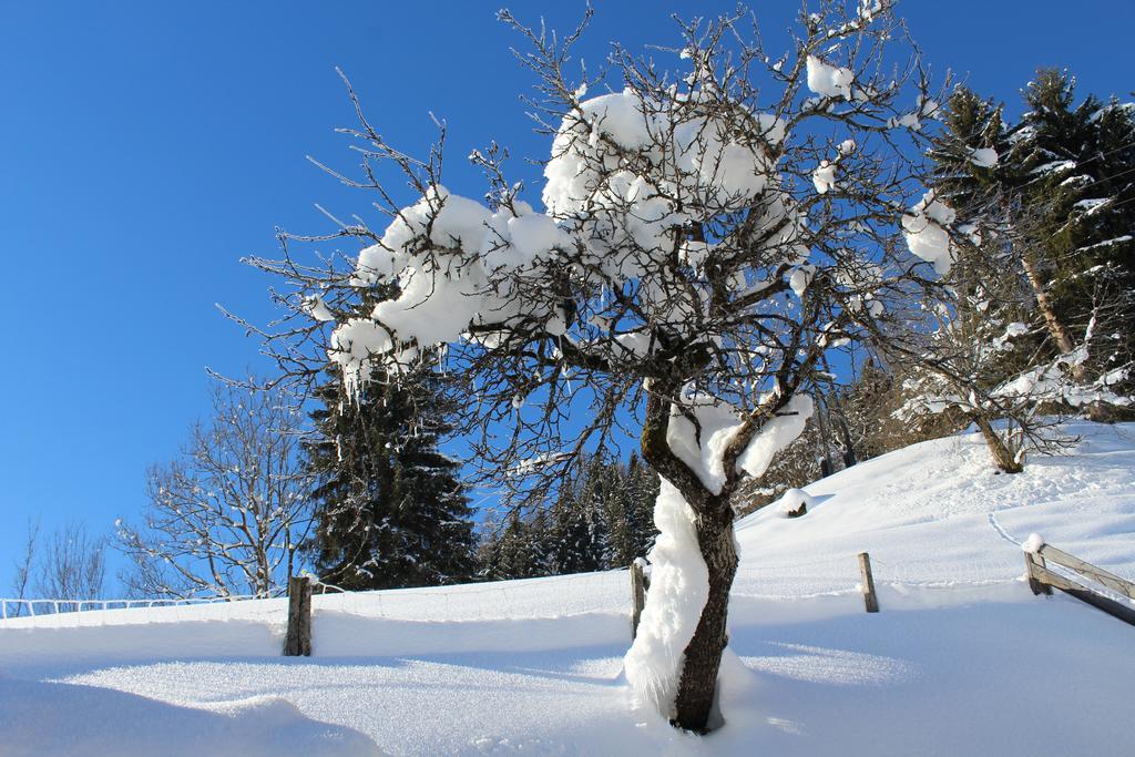 Appartamento Laubichlhof Flachau Esterno foto